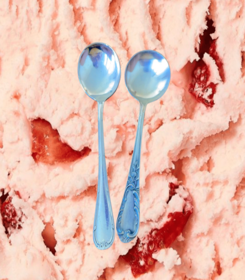 Cuillères à glace 🍦